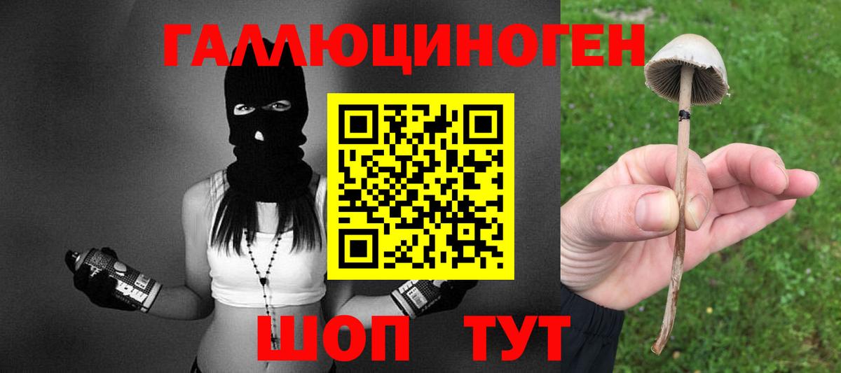 Электросталь  Галлюциногенные грибы мицелий  что такое   Вход с VPN 